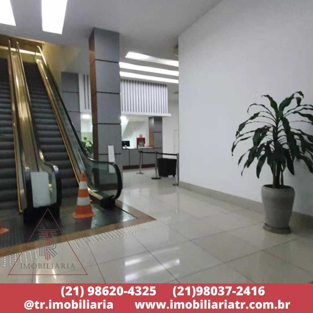 Imagem da Galeria